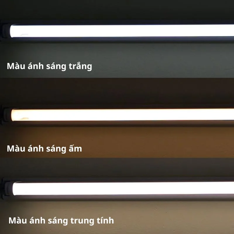 Màu sắc ánh sáng của đèn tuýp LED 3 màu