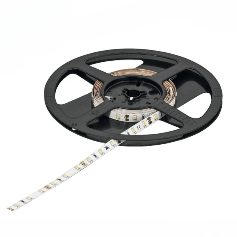 LED dây 24V đơn sắc cuộn 5m