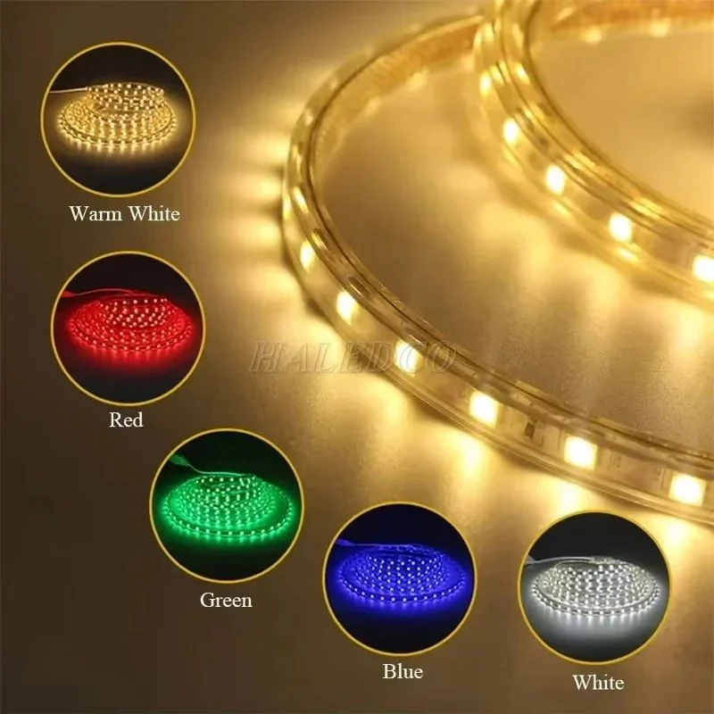 Dây LED đơn sắc 5050 IP65