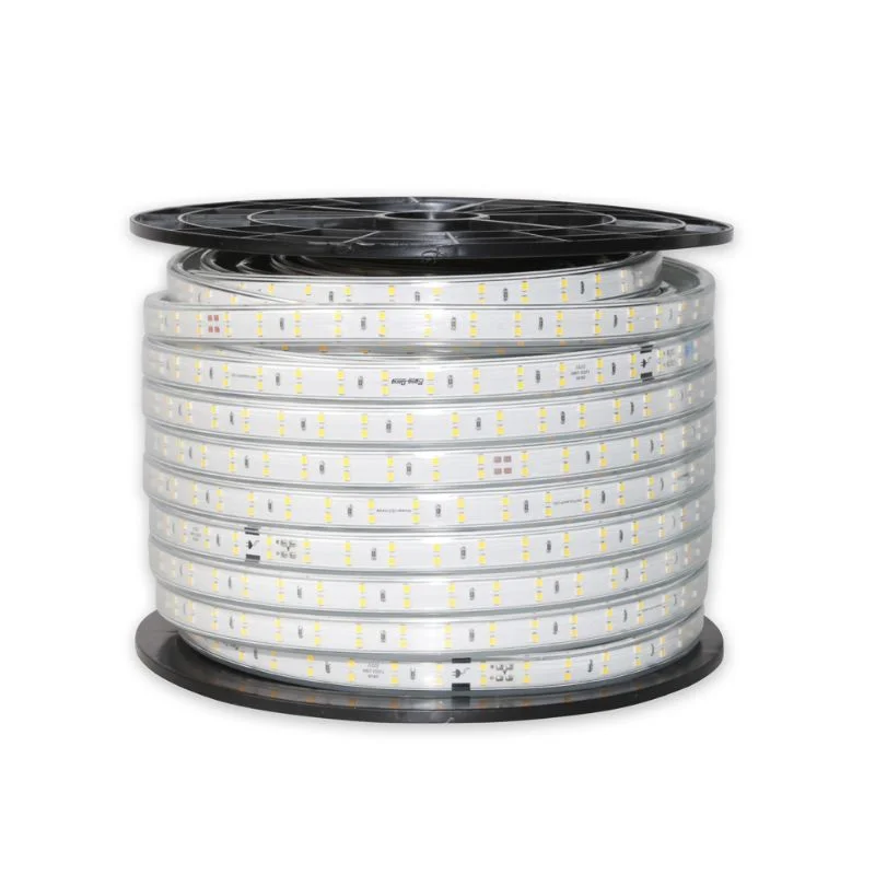 LED dây đơn sắc LD01 cao cấp