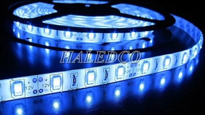 LED dây màu xanh dương 2835 dán tường