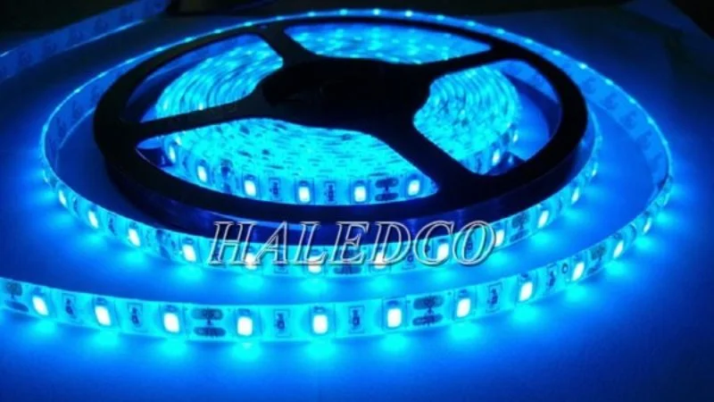 LED dây màu xanh dương 5050