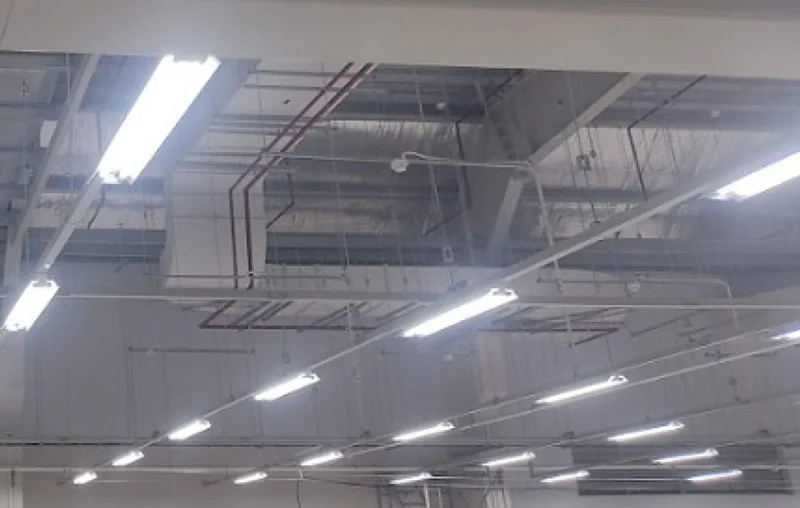 Máng đèn đôi có chóa phản quang chiếu sáng nhà xưởng