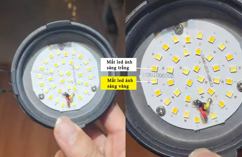Mắt LED ánh sáng trắng và ánh sáng vàng sắp xếp đan xen