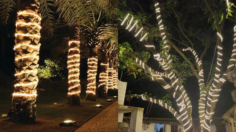 Chiếu sáng trang trí với cuộn dây LED 100m cao cấp